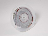 Vorschau: Synergy 21 LED Flex Strip 3528 - 60 NW DC24V 24W IP20 CRI>90 Vorschau: Synergy 21 LED Flex Strip 3528 - 60 NW DC24V 24W IP20 CRI>90